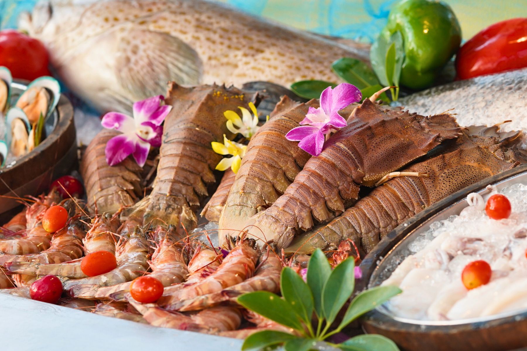 Unlimited Catch Night